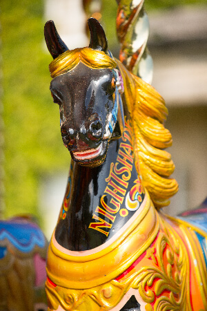 Beautiful Black Carousel Horse